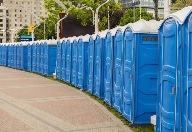 hygienic portable restrooms lined up at a beach party, ensuring guests have access to the necessary facilities while enjoying the sun and sand in Albertville, MN